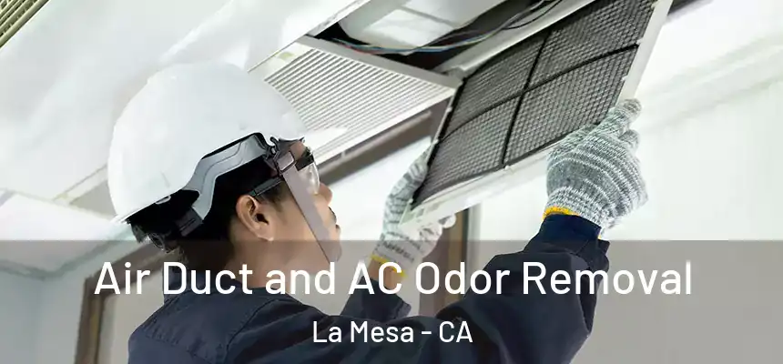 Air Duct and AC Odor Removal La Mesa - CA
