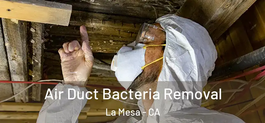 Air Duct Bacteria Removal La Mesa - CA