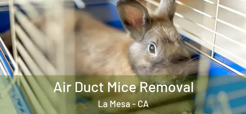  Air Duct Mice Removal La Mesa - CA