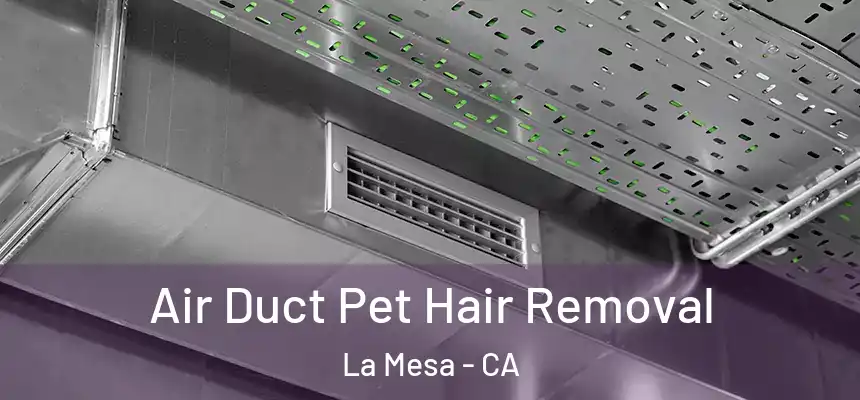 Air Duct Pet Hair Removal La Mesa - CA