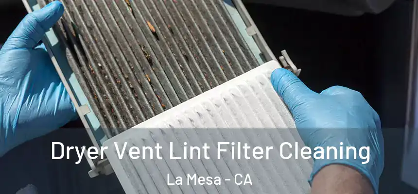  Dryer Vent Lint Filter Cleaning La Mesa - CA