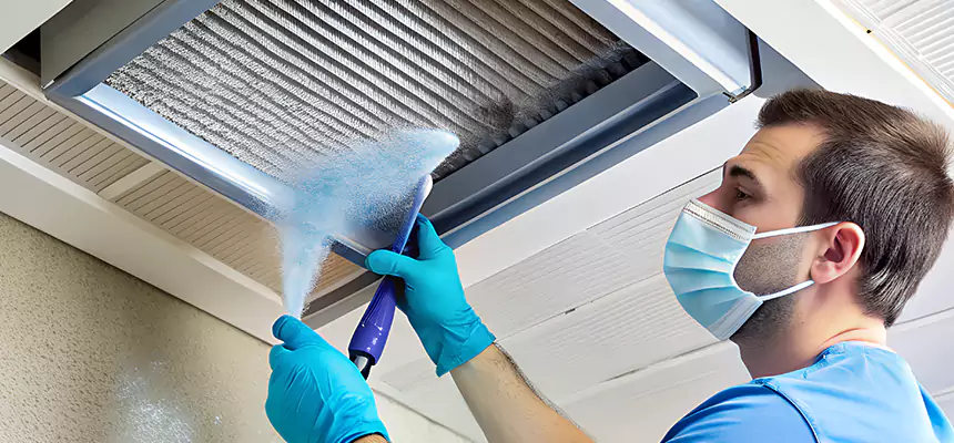 Proactive Dryer Vent & Auxiliary Duct Pollen Cleanup in La Mesa, CA