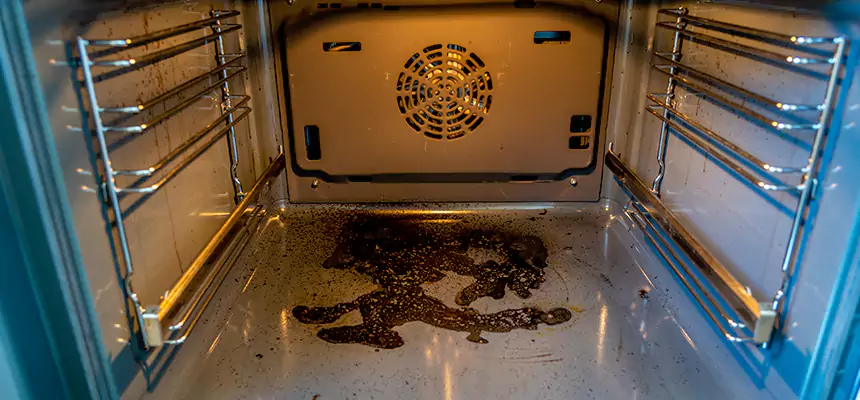 Our Dryer Vent Mold Cleaning Services in La Mesa, CA