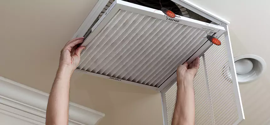 Our Insect Removal from Air Ducts Services in La Mesa, CA