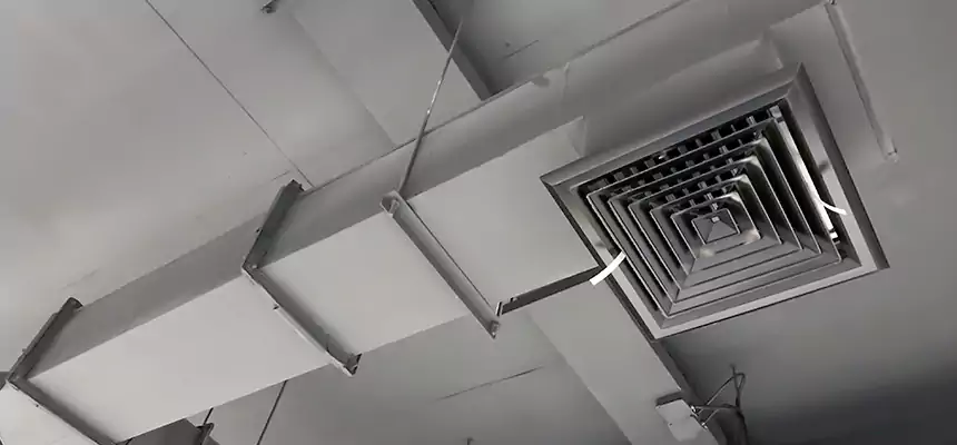 Our Rodent Droppings In Vents Services in La Mesa, CA