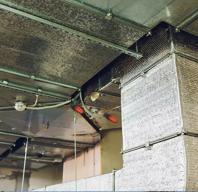 Why Homeowners & Businesses Trust Us in La Mesa, CA?