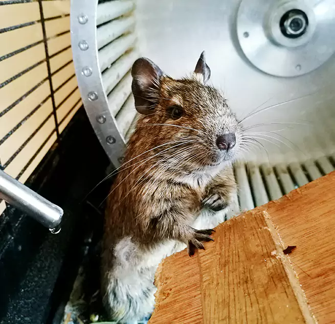 Why Homeowners & Businesses Trust Us La Mesa, CA?