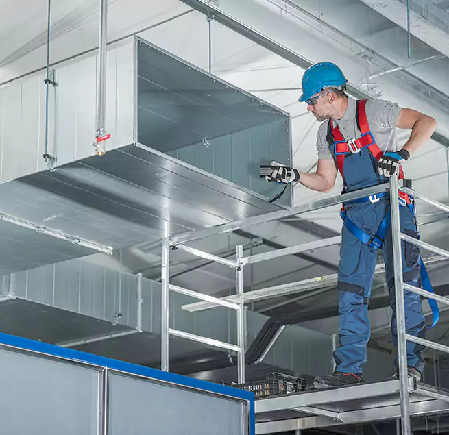 Why Homeowners & Businesses Trust Us in La Mesa, CA?