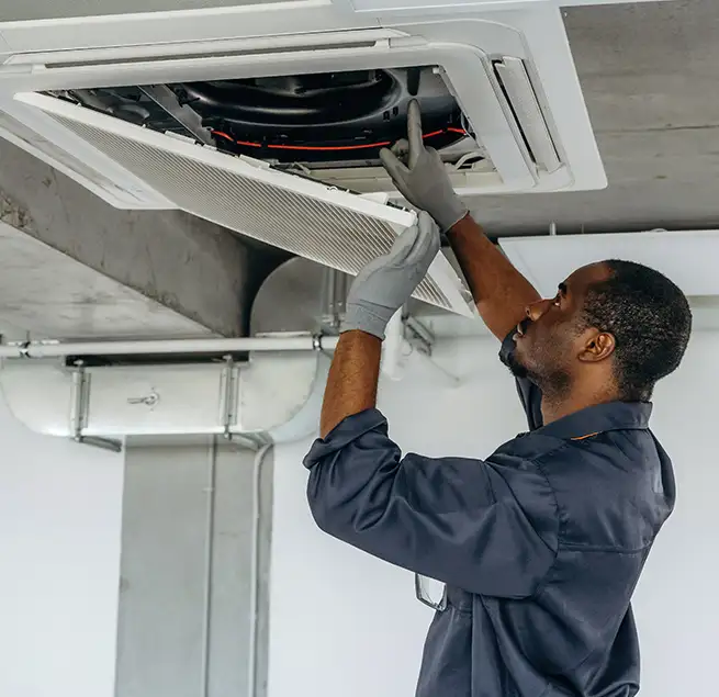 Why Homeowners & Businesses Trust Us in La Mesa, CA?